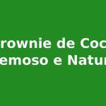 Torta de Coco Cremoso e Natural