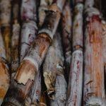 Bolo Econômico Fácil e Delicioso (Receita Completa)