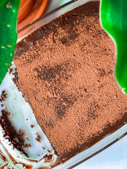 Pavê de Chocolate Fácil e Delicioso (Receita Completa)